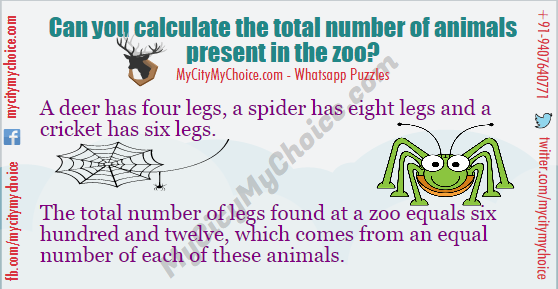 Can you calculate the number of animals in the zoo? | Puzzle Answer