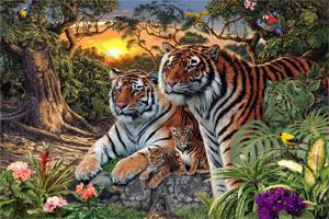 Count the number of tigers you see in the picture