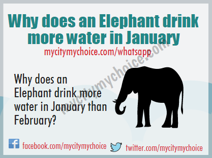 Why does an Elephant drink more water in January than February? - Whatsapp Puzzle