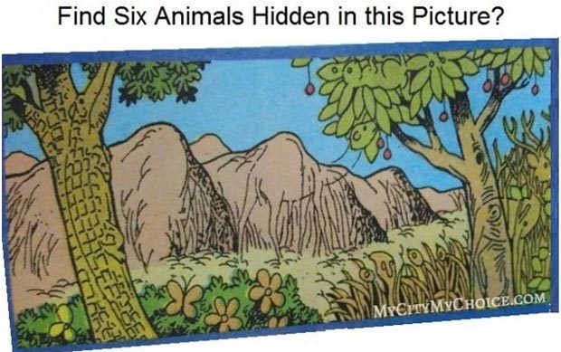 Find Six Animals Hidden In This Picture Puzzle