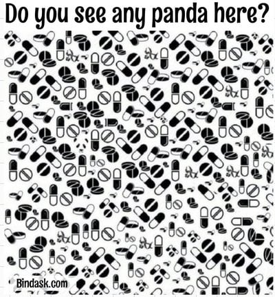 Do you see any panda here?