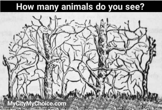 How Many Animals Do You See Puzzle Answer