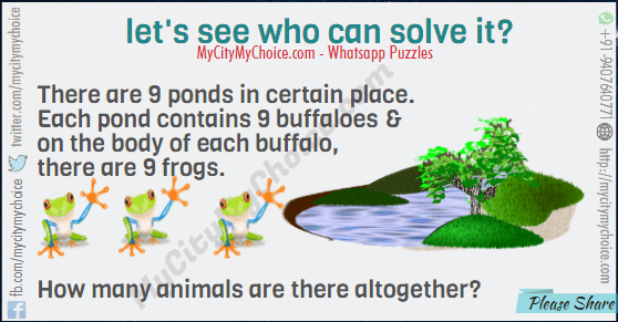There are 9 ponds in certain place. Each pond contains 9 buffaloes & on the body of each buffalo, there are 9 frogs. How many animals are there altogether?