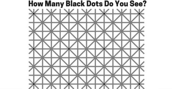 How Many Black Dots Do you See?