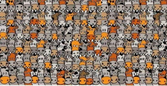 How quickly can you find the dog?