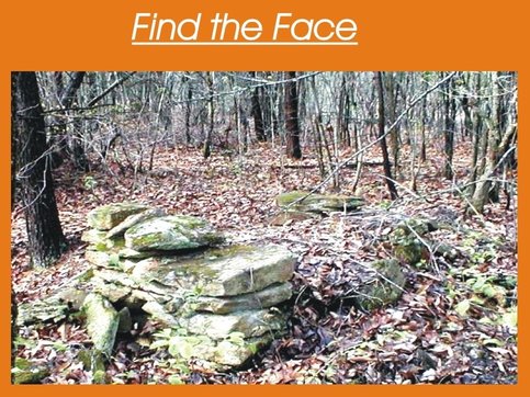 Find The Face Find A Human Face In The Picture Puzzle Answer