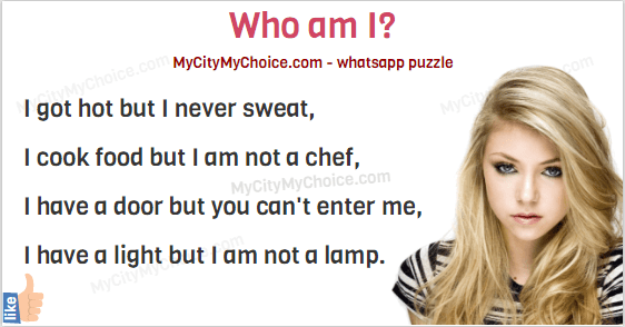 I got hot but I never sweat, I cook food but I am not a chef, I have a door but you can't enter me, I have a light but I am not a lamp.