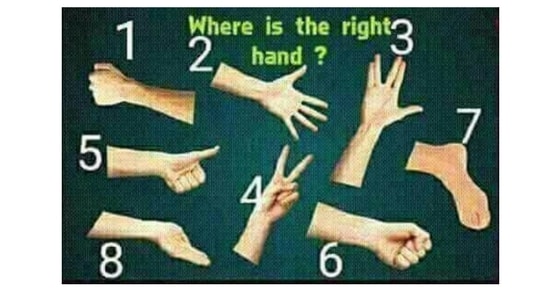 Where is the right hand?