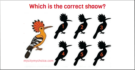 Which is the correct shadow answer