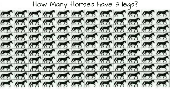 How Many Horses Have 3 Legs?