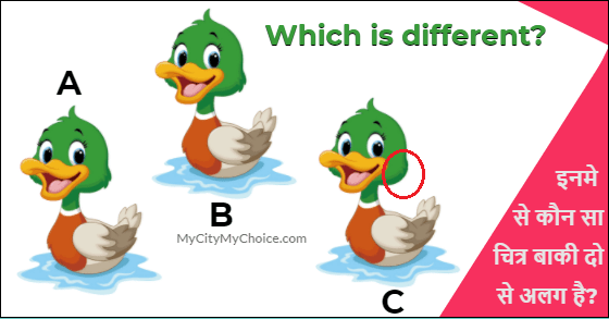 Which is different duck - answer